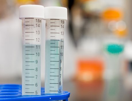 Российская биопромышленная компания объединит ведущие биофабрики для разработки новых ветпрепаратов