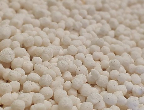 Россия и Казахстан наращивают торговлю продукцией АПК