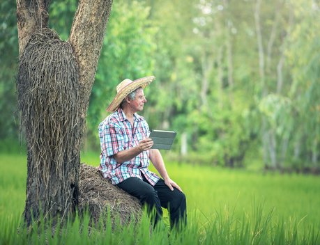 Минсельхоз России совершенствует цифровые сервисы для АПК с учетом интересов аграриев