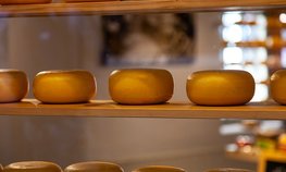 «Союзмолоко»: запасы сыров на складах в РФ в I квартале выросли на 21 %