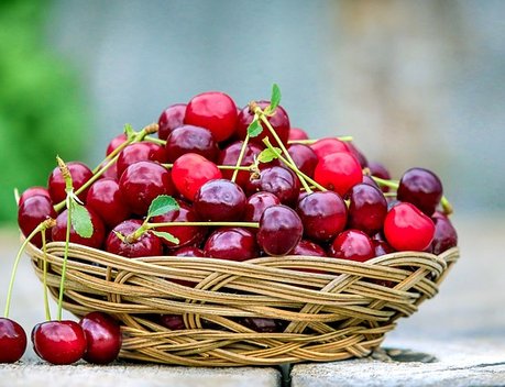РФ и Таджикистан создали предприятие для увеличения экспорта сельхозпродукции