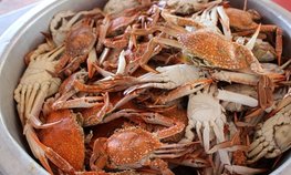 Находкинский СРЗ спустил на воду девятый краболов по программе инвестквот