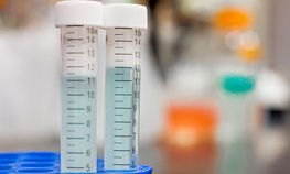Оксана Лут и Вероника Скворцова обсудили реализацию биотехнологических проектов в области ветеринарии
