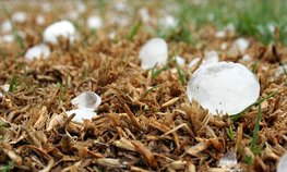 В России ожидают снижение убытков аграриев от природных бедствий