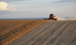 Кабмин утвердил временный порядок для обеспечения сельхозпроизводителей топливом