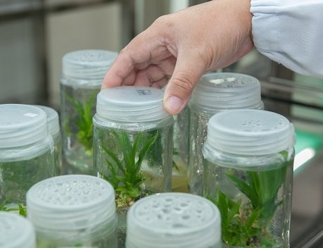 Оксана Лут ознакомилась с экспозицией форума «Русское поле — 2026»