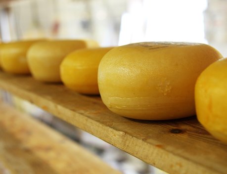 «Союзмолоко» ожидает роста экспорта молочной продукции из России