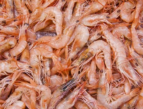 РФ в январе — августе увеличила выручку от экспорта морепродуктов в КНР на 54 %