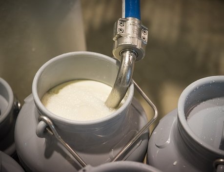 Почти на 18 % выросло производство питьевого молока в Липецкой области