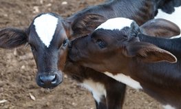 Сельхозтоваропроизводители Вологодской области получили господдержку на развитие сельской кооперации