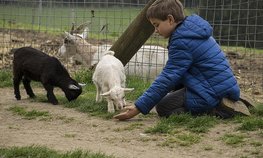 Дмитрий Патрушев: Подготовка кадров для агропромышленного комплекса должна начинаться со школьной скамьи