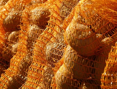 Россия с начала 2025 года увеличила импорт свежего картофеля в 3,5 раза