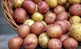 Оксана Лут обсудила развитие АПК Брянской области с Александром Богомазом