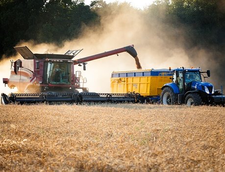 Аграриям Краснодарского края предстоит убрать более 1,7 млн гектаров озимых культур
