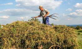В рамках выставки «Всероссийский день поля» прошел форум «Развитие малого агробизнеса»