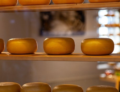 Россия наращивает объемы производства животноводческой продукции