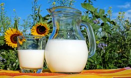 Поставки молочной продукции за рубеж с начала года выросли на 16 %
