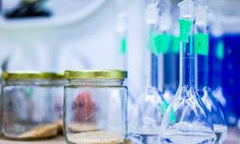 Оксана Лут обсудила с Еленой Корочкиной перспективные проекты в области племенного животноводства