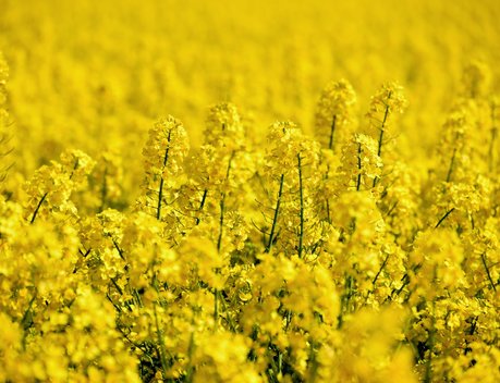 Титов призвал создать внутренние условия для производителей сельхозпродукции