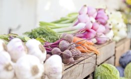 Российские аграрии собрали более 6 млн тонн овощей