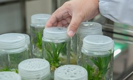 В ДНР возродят сельскохозяйственную опытную станцию в Песках