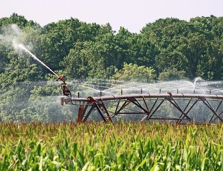 К 2030 году орошаемые площади в России увеличатся на 40 %