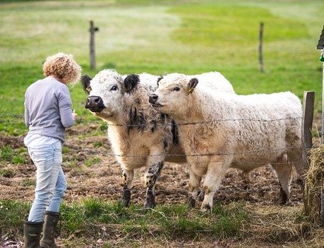 От школьной скамьи до реального сектора: Минсельхоз России выстраивает непрерывную цепочку подготовки кадров для АПК