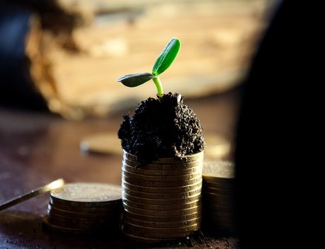 В Минсельхозе подвели предварительные итоги деятельности Россельхозцентра в 2025 году