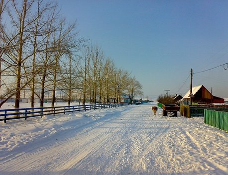 Госпрограмма комплексного развития сельских территорий затронула 17 млн человек