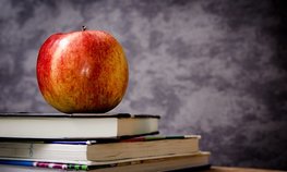 ЛНР в 2026 году подаст две заявки на создание кластеров в АПК и строительстве