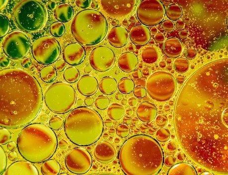 ГОСТ на амарантовое масло вступил в силу