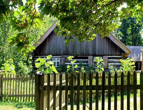 Аграриям в ДНР выделят более 905 млн рублей субсидий