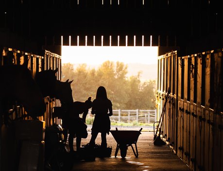 На Ставрополье господдержку малого агробизнеса увеличат на 30 %