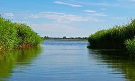 В ЯНАО призвали ускорить принятие коэффициентов промвозврата для сиговых рыб