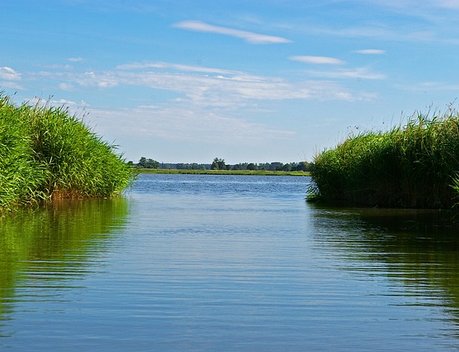 В ЯНАО призвали ускорить принятие коэффициентов промвозврата для сиговых рыб