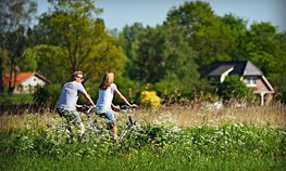 Более 500 млн рублей направили в Подмосковье на развитие сельских территорий в 2025 году