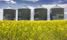 В Челябинской области расширяются мощности хранения зерна