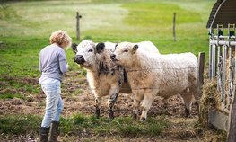 В Госдуму внесли законопроект о господдержке для агрошкол