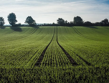 Свердловские аграрии получат дополнительно почти 20 тыс. гектаров земли под посевы