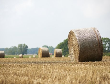 Правительство уточнило критерии определения неиспользуемых сельскохозяйственных земель