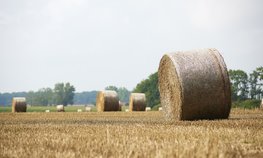 Правительство уточнило критерии определения неиспользуемых сельскохозяйственных земель