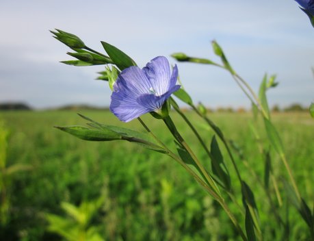 Дмитрий Патрушев посетил с рабочей поездкой Смоленскую область