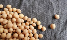 Китай в течение трех лет будет закупать сельхозпродукцию США на $17 млрд в год