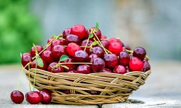 РФ и Таджикистан создали предприятие для увеличения экспорта сельхозпродукции