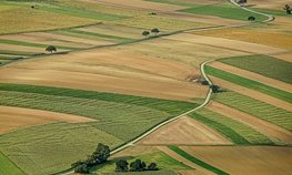 Россия и ООН развивают сотрудничество в сфере сохранения плодородия земель и борьбы с опустыниванием